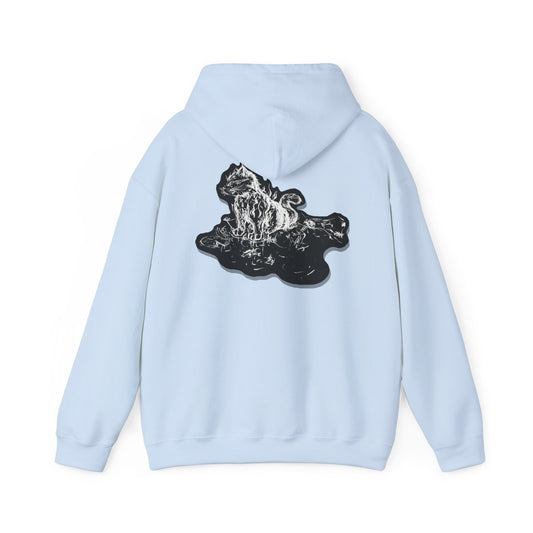 Flames Cat Hooded Sweatshirt