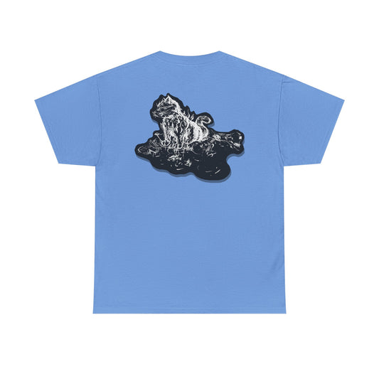 Cat Flames LaRose Style Tee